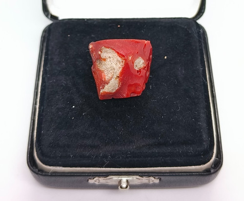 Autentico corallo rosso grezzo