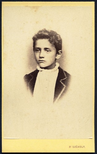 Bel ragazzo elegante vienna - elegante,,