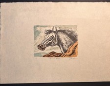 Cavallo lampo 1971 - il, lampo,