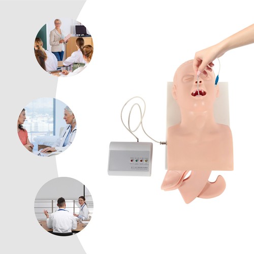 Allenatore gestione vie aeree - gestione,