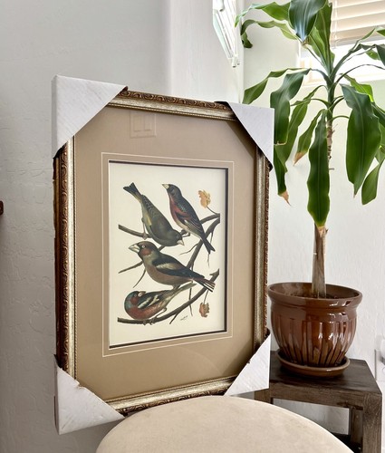 Vintage william rutledge bird - vintage,