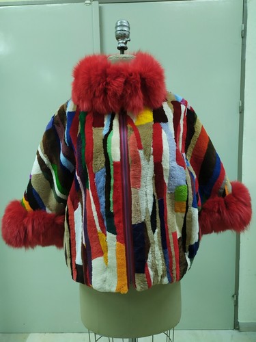 Pezzi castoro multicolore - castoro,