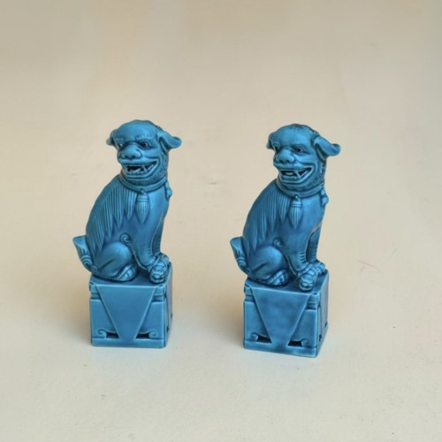 Coppia cani foo - cani, turchesi