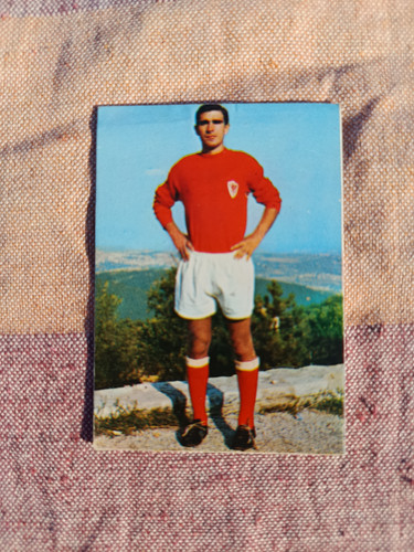 1967 persicostampa - 1967-68,