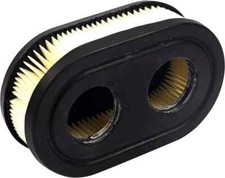 Filtro aria Briggs & Stratton
