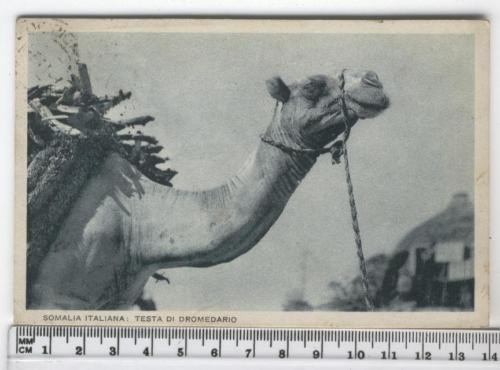 Cartolina estera somalia - cartolina,