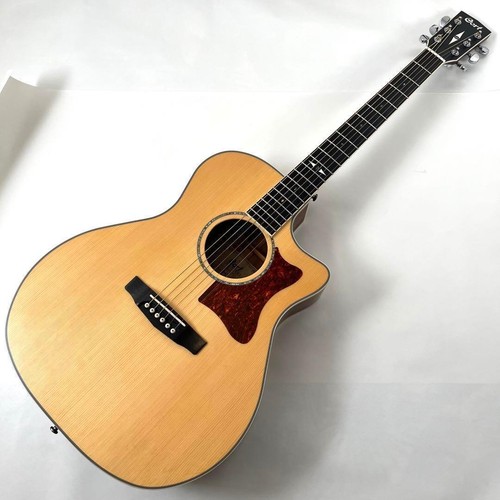Chitarra elettrica acustica
