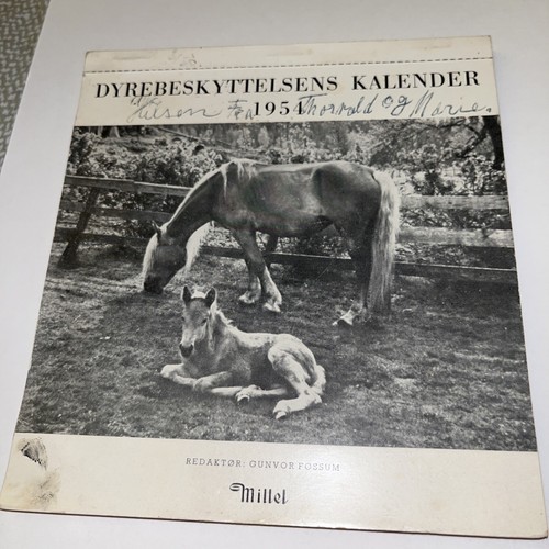 Cartolina norvegese gunvor - cartolina,