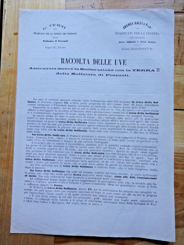 1874 raccolta delle - 1874-raccolta,