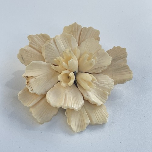Ancien broche corail - ancien, os