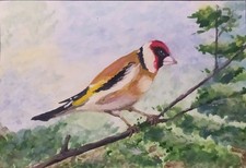 Quadro dipinto a mano, Il Bel Cardellino, pittore russo autografato