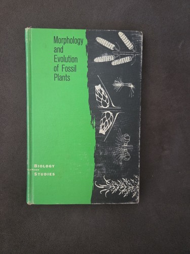 Morphology and evolution - and,