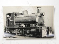 Viking Steam Locomotive