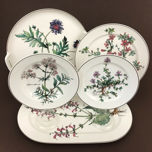 Villeroy boch botanica - villeroy, soup