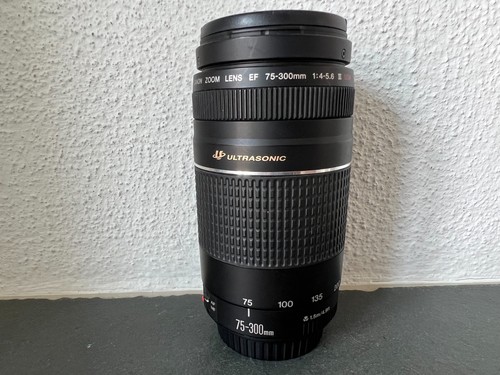 Canon zoom lens 300 - canon, ef