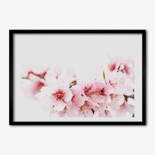 Quadro tulup mdf - tulup, incorniciato
