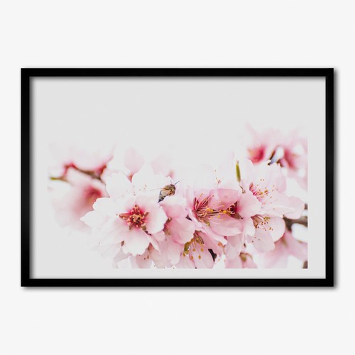 Quadro tulup mdf incorniciato - quadro,