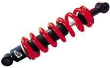 Aortizzatore idraulico L290 C4