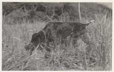 B1 -  Foto Photo Fotografia