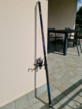 Canna Da Pesca (Con Mulinello) Lineaeffe Elite