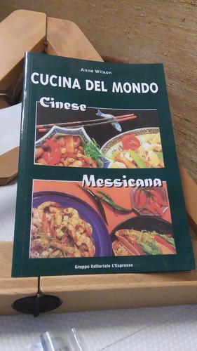 Cucina del mondo cinese - cucina,
