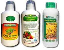 Difesa delle piante: olio di neem, propoli e sapone molle di potassio