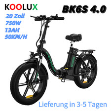 750W Biciclette elettriche 20