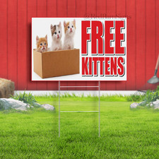 FREE KITTENS Pet Dog Gift