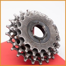 REGINA G.S. CORSETTO 4