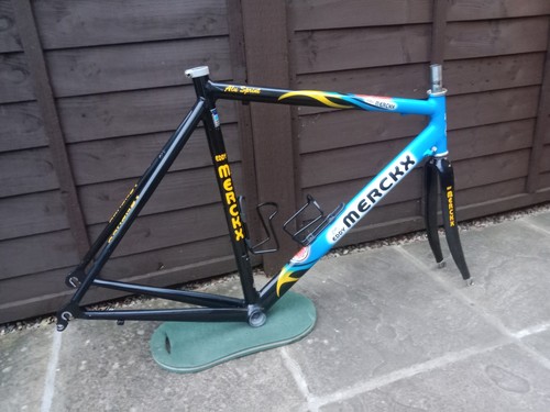 Eddy merckx domo - domo, frities