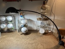 ☀️ Lampada Da Tavolo Elio