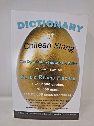Dictionary chilean slang - dictionary,