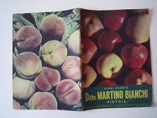 Agricoltura Giardinaggio Piante Martino Bianchi Pistoia Catalogo Frutta 1952