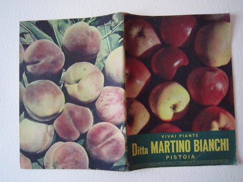 Agricoltura giardinaggio - agricoltura,