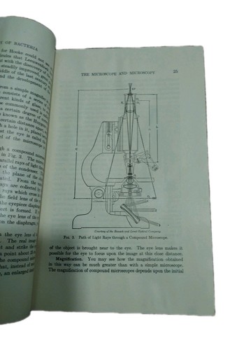 Biology bacteria arthur - ​biology,