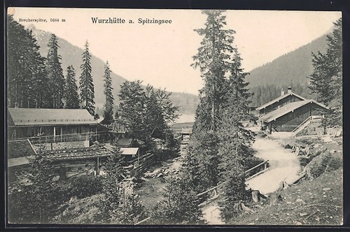 Rifugio per radici sul lago