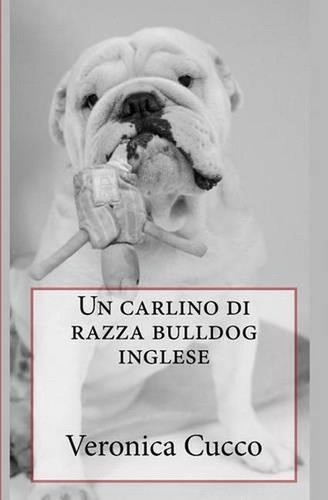 Carlino razza bulldog - di,