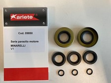 SERIE PARAOLI MOTORE FANTIC