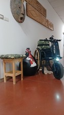 carrozzina per disabili Progeo