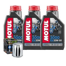 Tagliando Olio Motul 3000