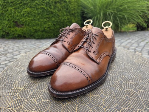 Alden 2264 blucher - 2264, punta