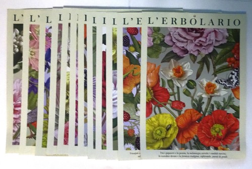 Dodici stampe colori - ,