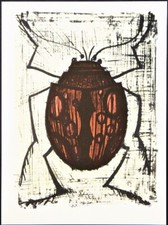 Bernard Buffet - Scarabeo -