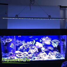 Barra luminosa LED acquario