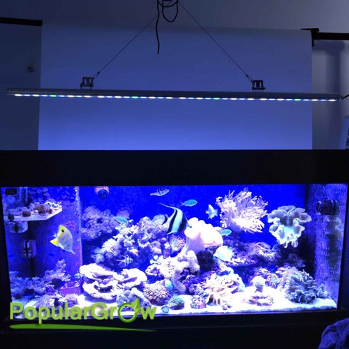 Barra luminosa led - luminosa, acquario
