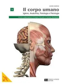 Corpo umano lms - corpo,
