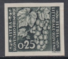 ITALIA - LITORALE SLOVENO Sass. 51a 1000$ FIRMATO A.DIENA NON FORATO MNH**