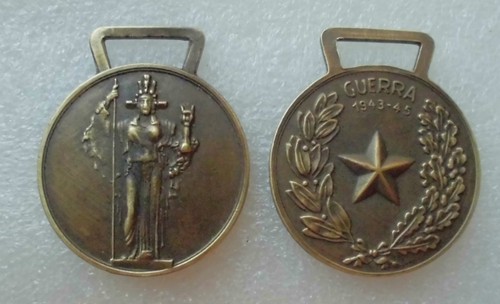 Medaglia per campagna 1943 - campagna,
