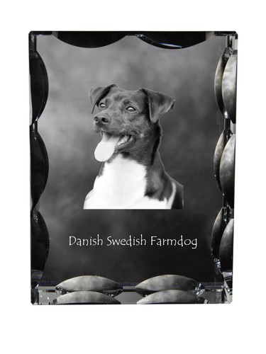 Cane fattoria - cane,