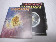 Lotto solo copertine grande